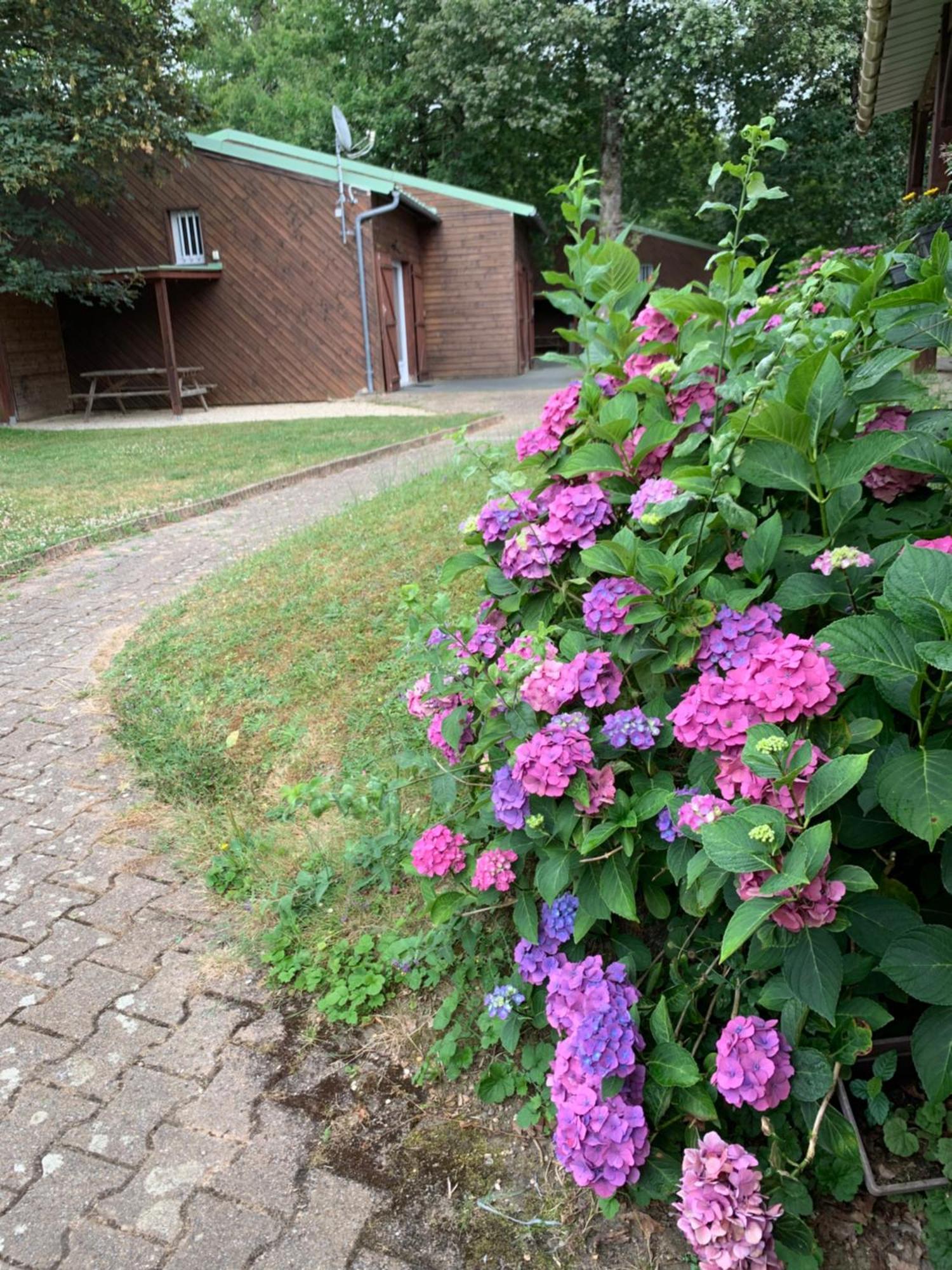 Chalets Mouliere Evasion Montamisé Zewnętrze zdjęcie