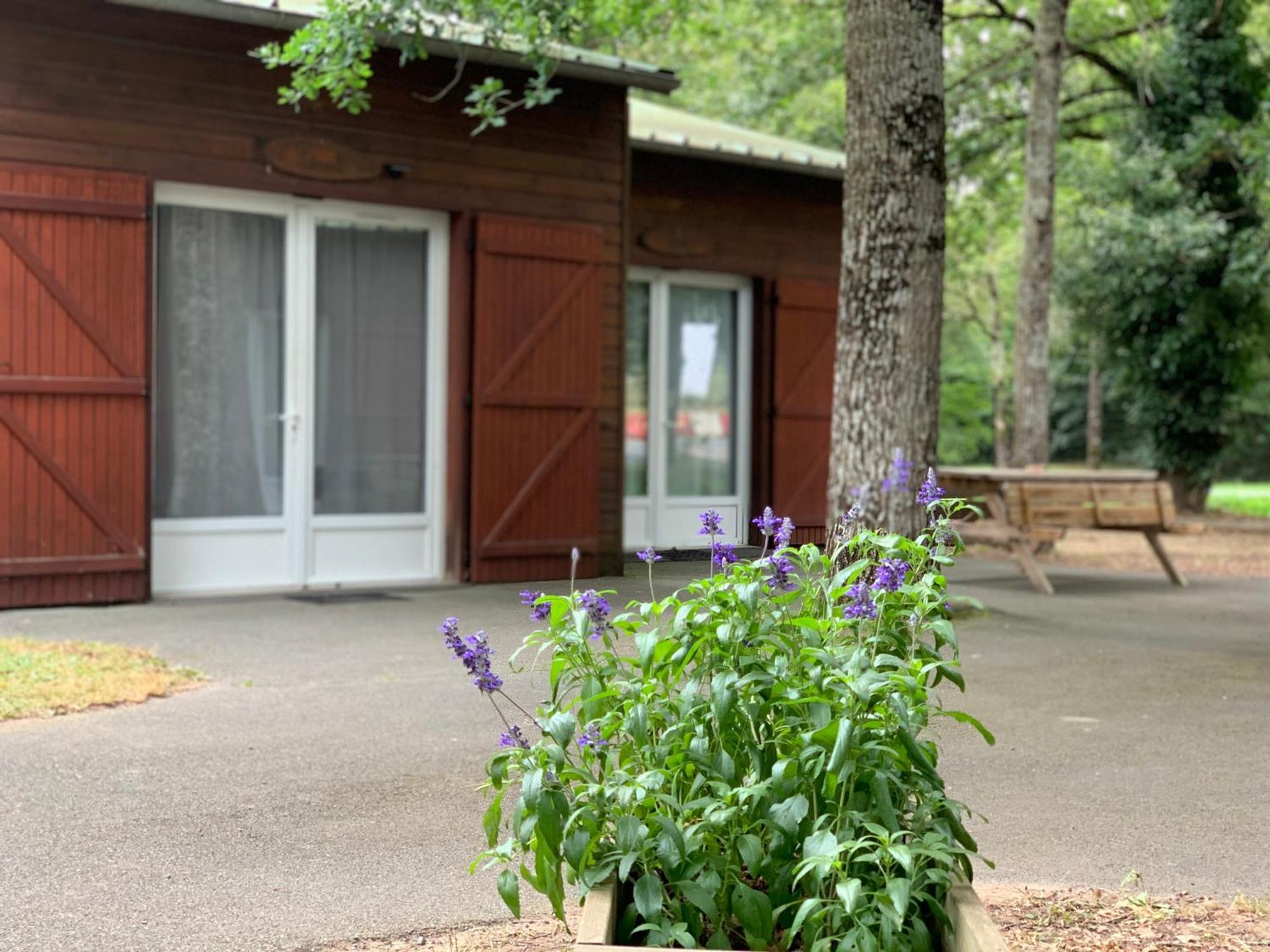 Chalets Mouliere Evasion Montamisé Zewnętrze zdjęcie