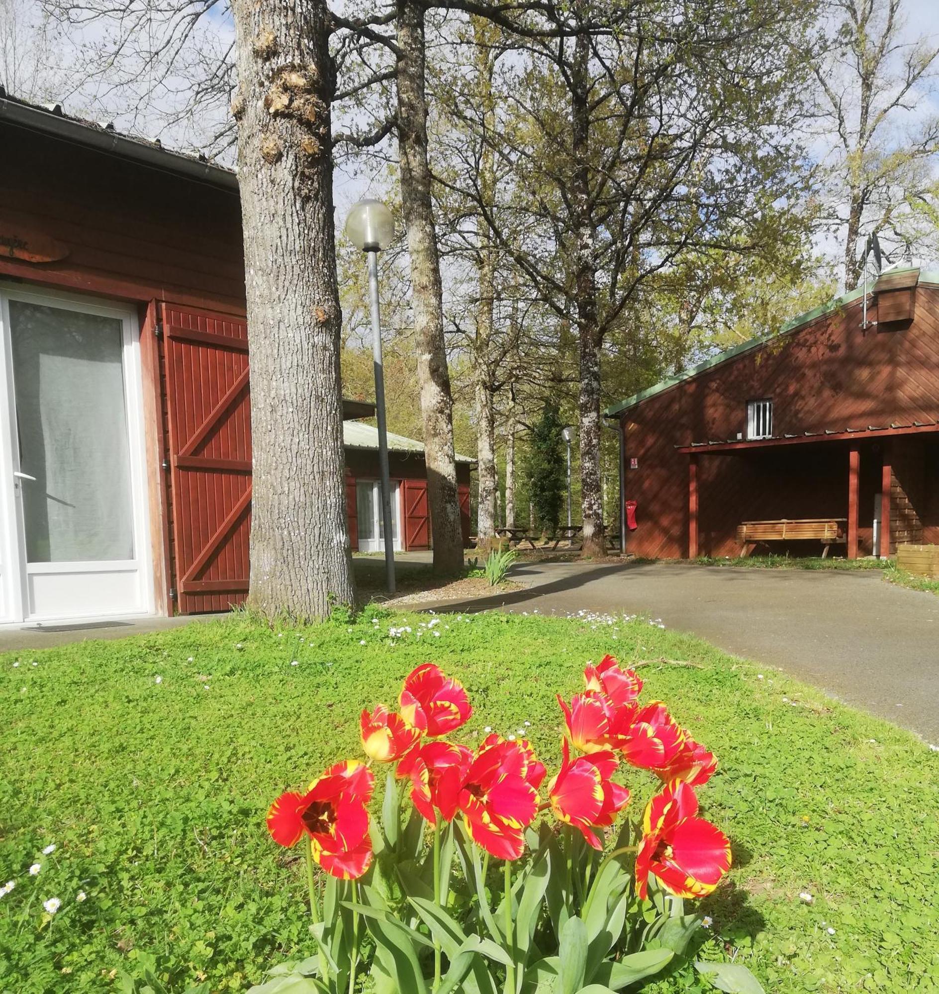 Chalets Mouliere Evasion Montamisé Zewnętrze zdjęcie